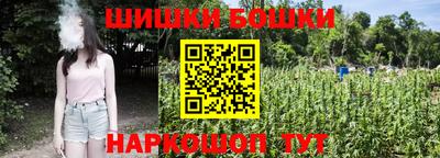 стафф Дубна